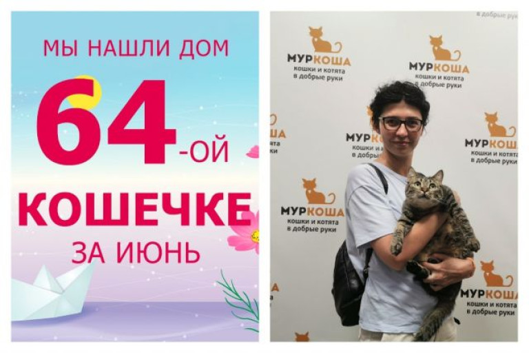 Ласковая кошечка Армида отправилась в новый дом!