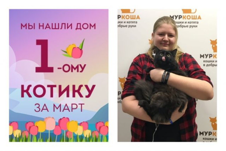 Второй шанс на домашнее счастье для котика Северьяна!