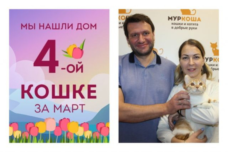 Спустя месяц уезжает в новый дом кошечка Саншайн!