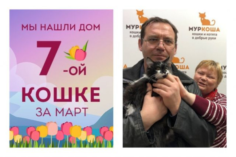 Кошечка Трикси отправляется в новый дом!