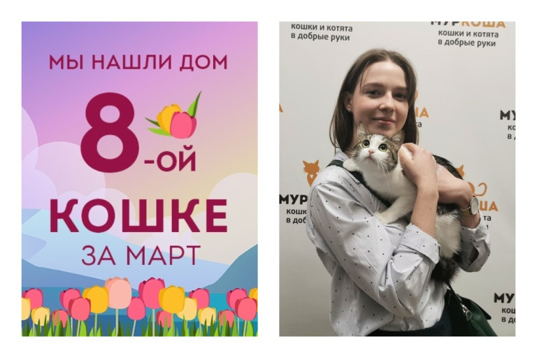 Прекрасная кошечка Индюшка получила ещё один шанс на домашнее счастье!