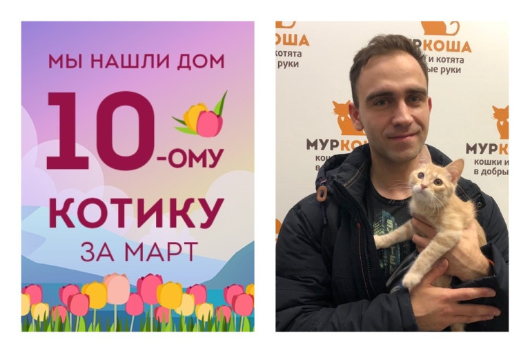 Пятимесячный Харви стал домашним любимцем!