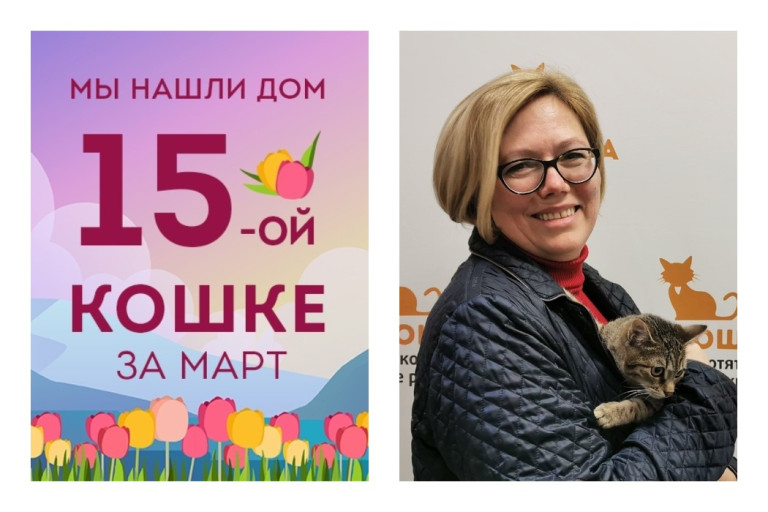 Кошечка Пичужка встретила свою любимую хозяйку!