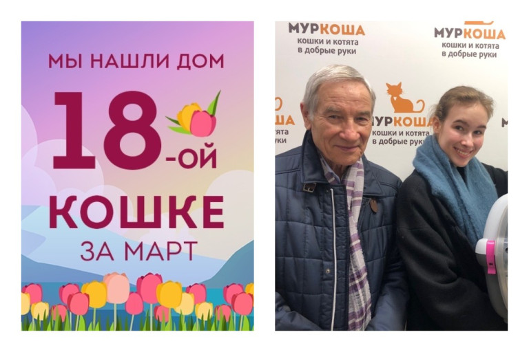 Семимесячная Модница стала домашней любимицей!