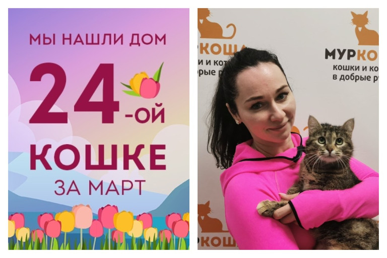 Кошечка Пятнашка встретила заботливую хозяйку!