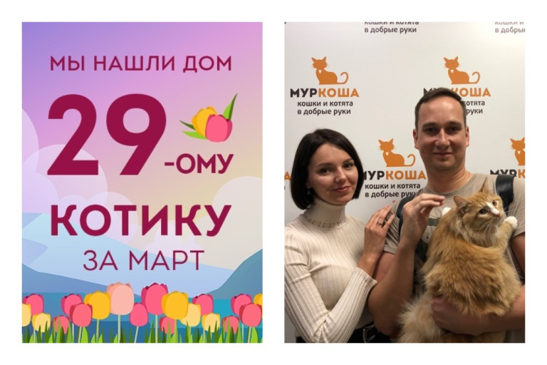 У очаровательного котика Ла Туша появилась любящая семья!