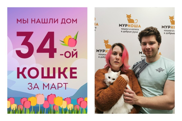 Мы смогли найти дом кошечке Лалик всего за полтора месяца!