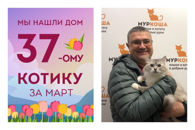 Самый обнимательный котик приюта Вездепух снова стал домашним!