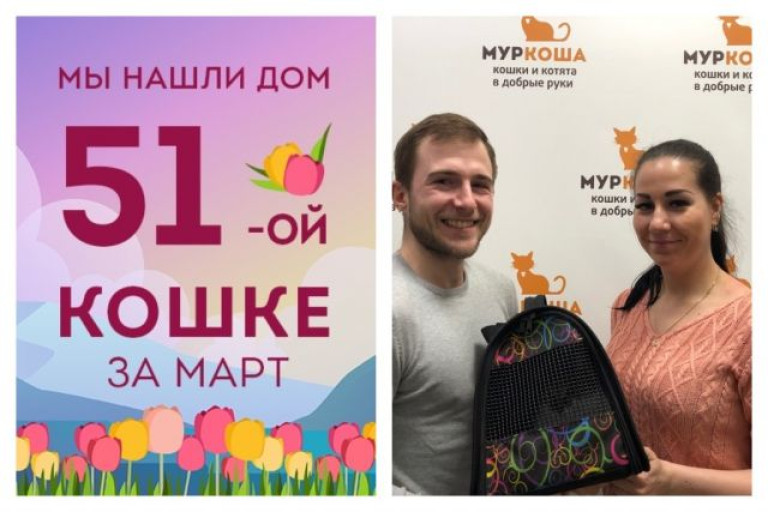 Кошечка Дакки поймала удачу за хвост!