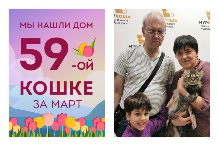 Кошка Ксандра стала частью прекрасной семьи!