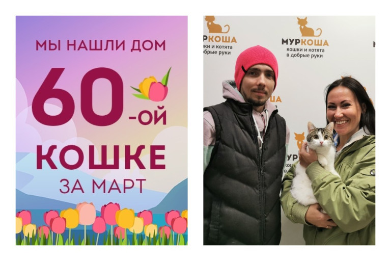 Кошечка Гауда отправилась в новый дом!