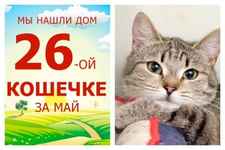 У ласковой кошечки Мышульки появились любящие хозяева!