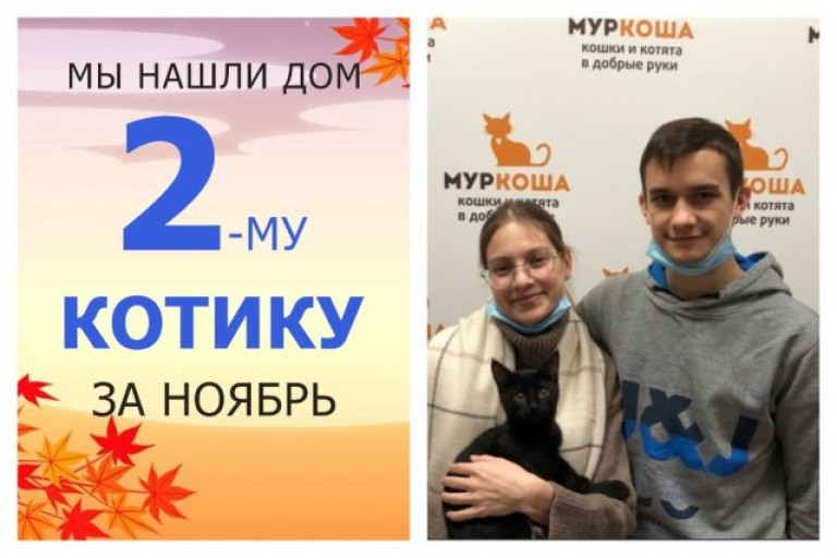 Котёнок Кирьян стал домашним и любимым!