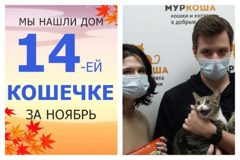 Кошечка Ешка стала домашней всего за месяц!