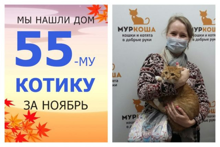 Котик Сыр обрел домашнее счастье!