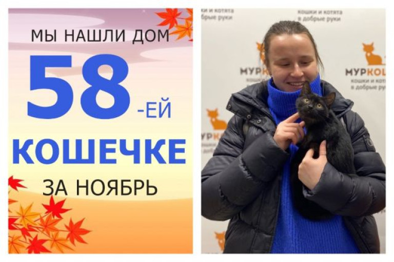 Кошечка Баю-Баюшка отправилась радоваться домашней жизни!