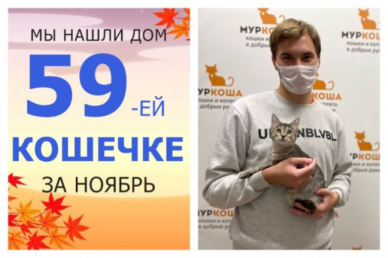 У кошечки Курточки появился заботливый хозяин!