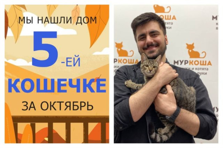 Кошечка Баранка стала домашней любимицей!