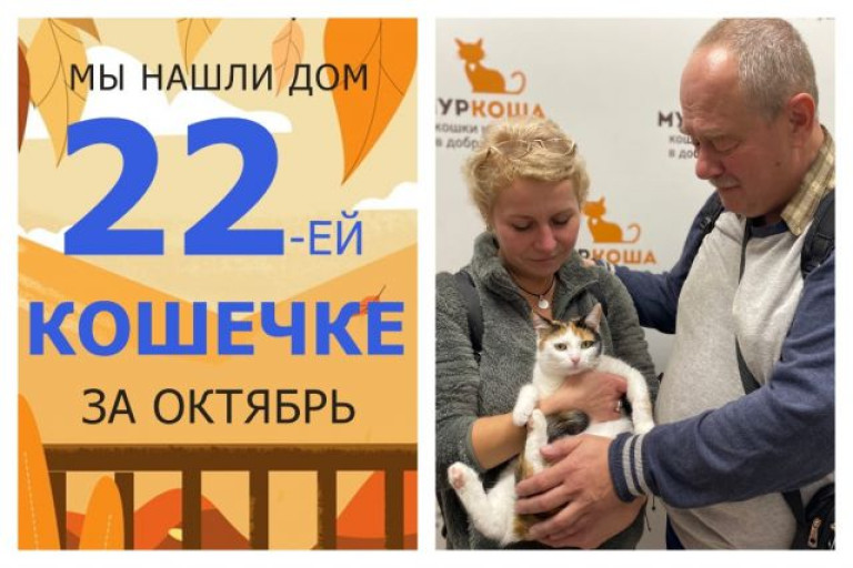 Кошечка Барабулька начинает новую жизнь!