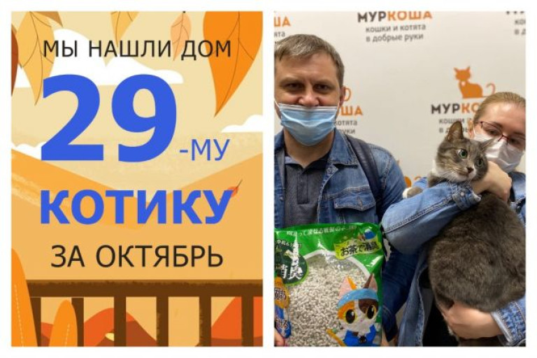 Котик Рубик уезжает в новый дом!