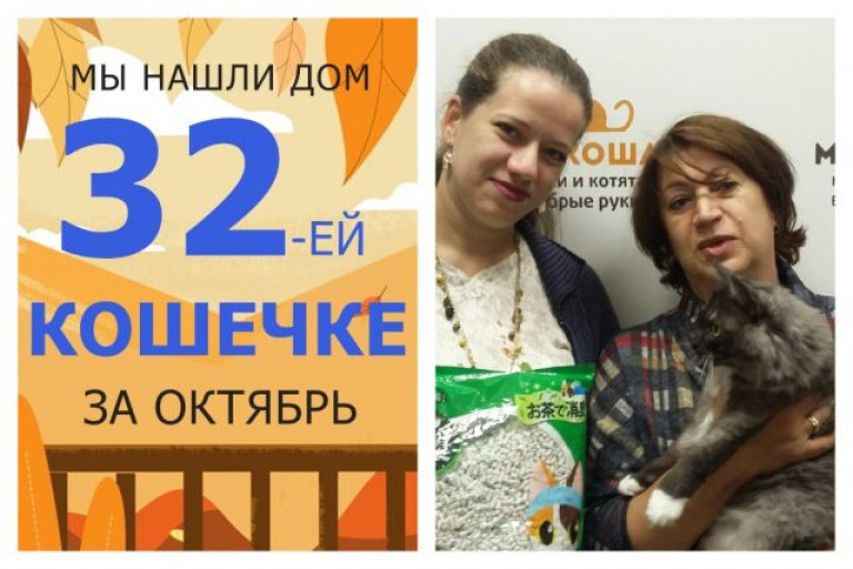 У кошечки Кити начинается новая жизнь!