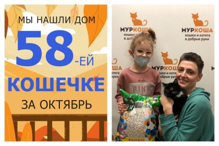 Малышка Шарик теперь домашняя любимица!