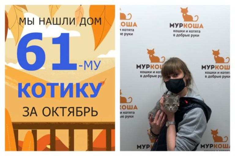 Малыш Дисней нашел дом за десять дней!