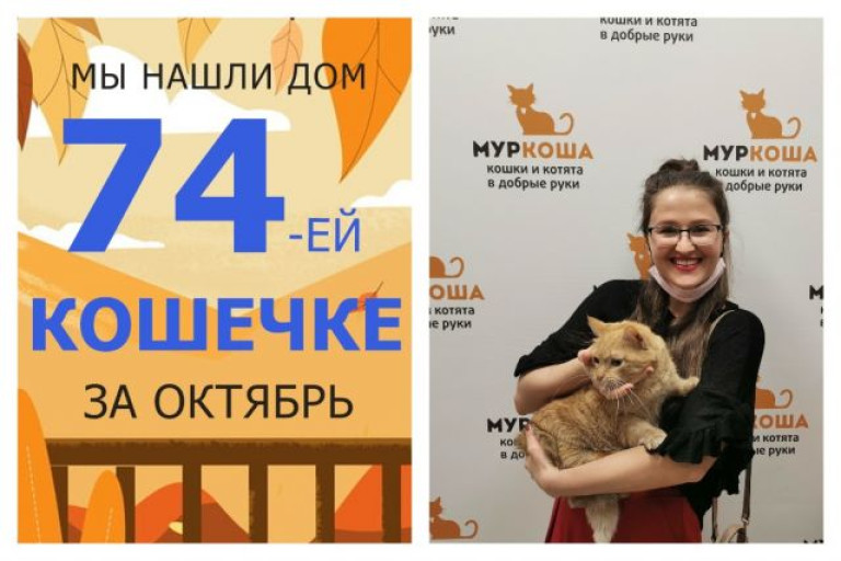 У пятилетней кошечки Изольды теперь новое домашнее счастье!