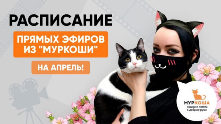Расписание прямых эфиров на апрель