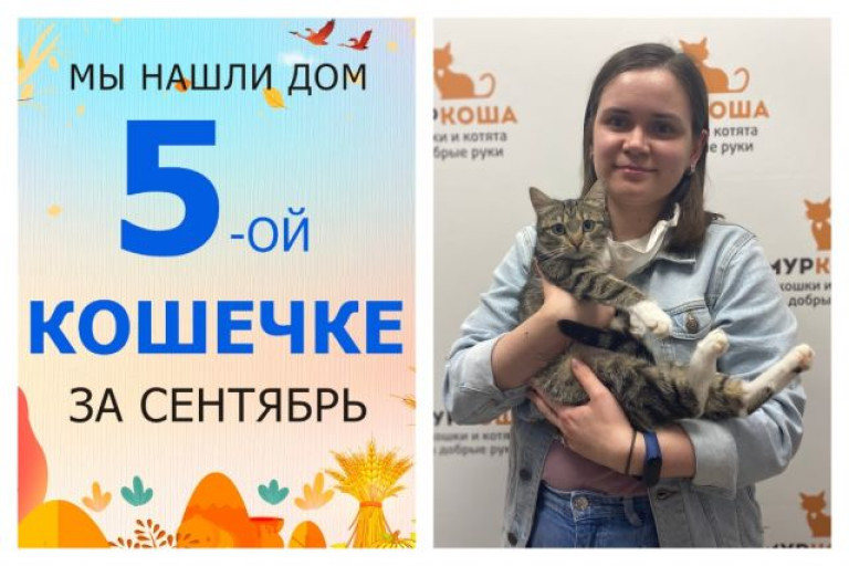 Кошечка Изумрудка теперь домашняя и счастливая!