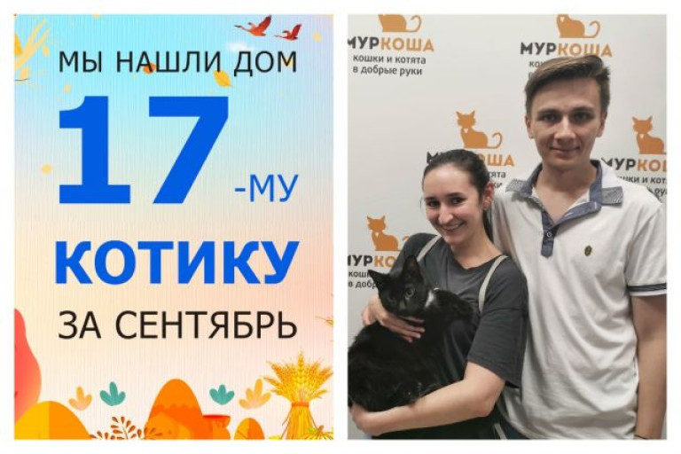 Уличный котик Маэстро стал домашним любимцем!