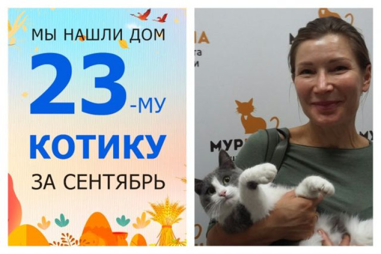 Котик Бабуш начинает жизнь с чистого листа!