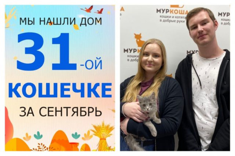 Кошечка Мамбуру стала домашней за две недели!