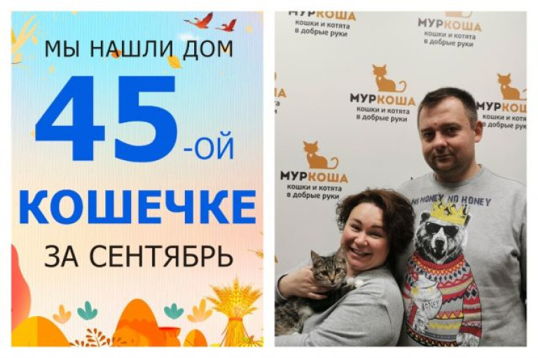Котенок Леслава отправляется в домашнюю жизнь!