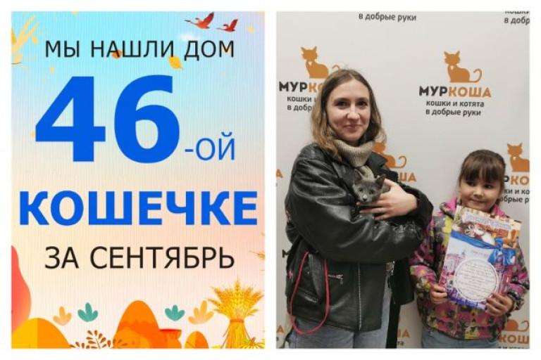 Котенок Рейна стала домашней любимицей!