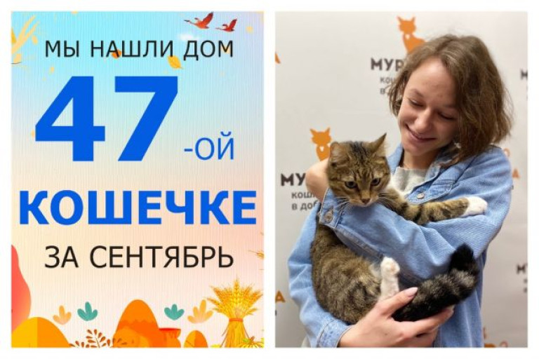 Кошечка Ямаха отправилась в домашнюю жизнь!