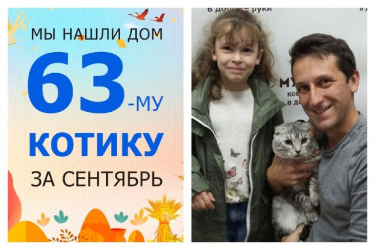 Котик Васяша уезжает в новый дом!