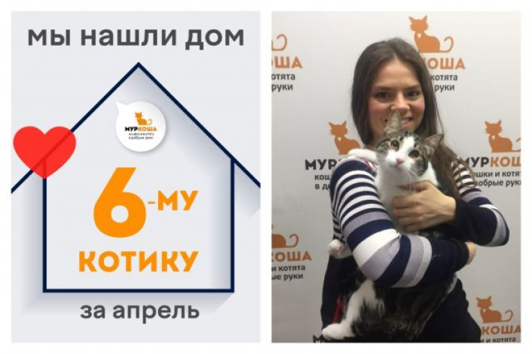У котика Андрюшки теперь есть дом и семья!