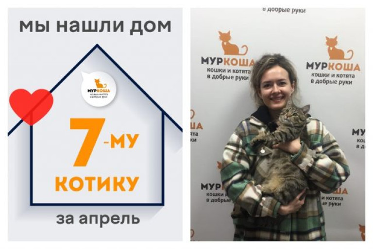 Котик Сникерс познакомился с надежной хозяйкой!