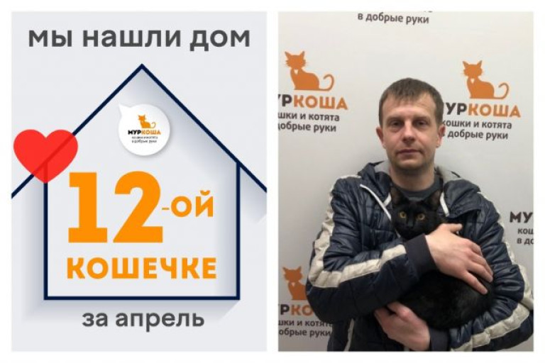 Кошечка Летти рада познакомить со своим хозяином!