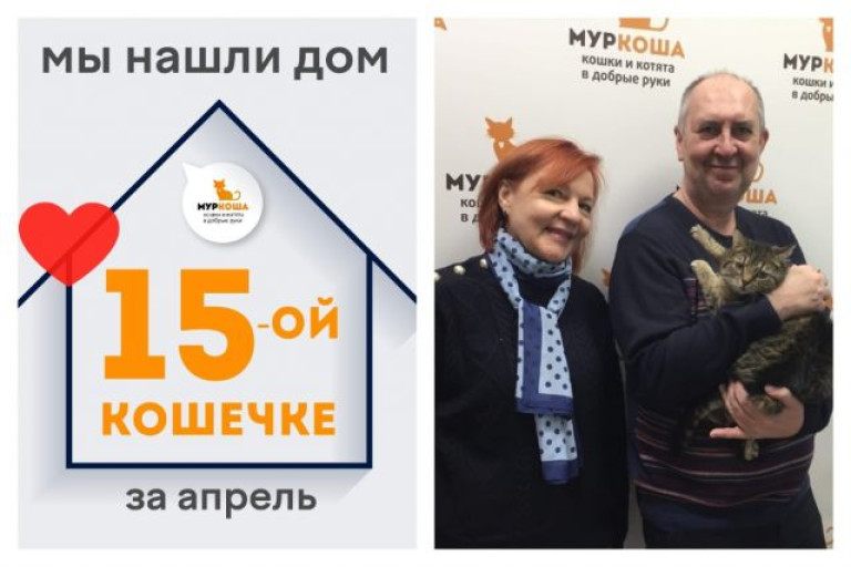 Прекрасная кошечка Пицца отправилась домой!