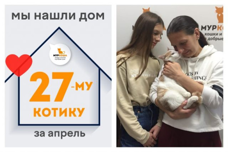 Котик Кумкват стал домашним и любимым!