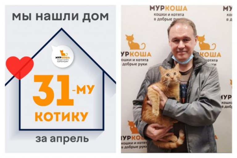 Котик Тиграша отправился домой!