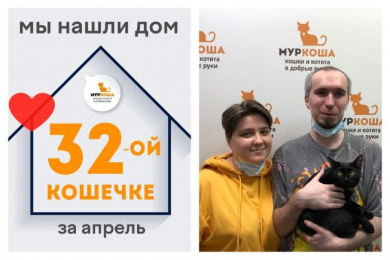 Кошечка Летти начинает новую жизнь!
