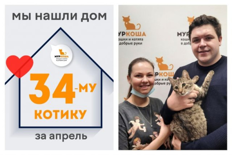 Котик Мэй стал домашним любимцем!