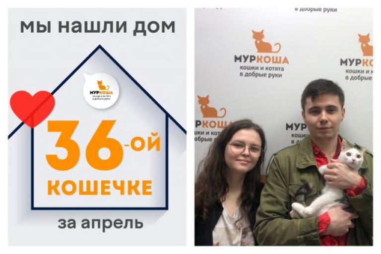 Милая Хавива стала домашней кошечкой!