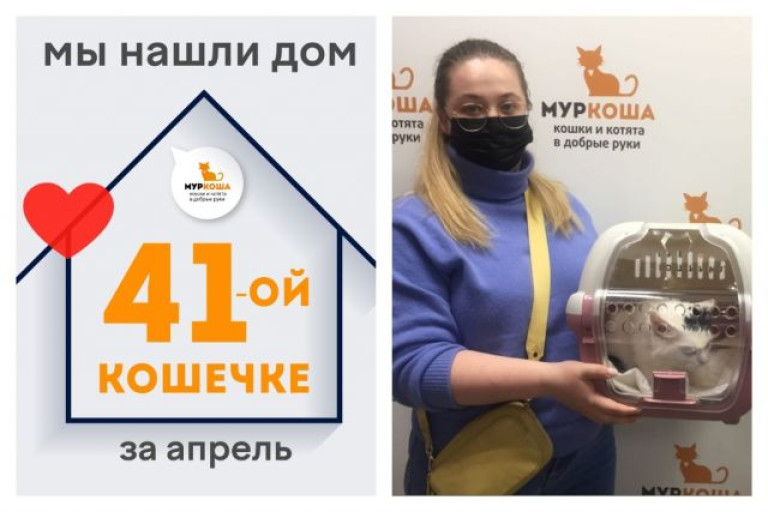 Кошечка Полушкина стала домашней любимицей!