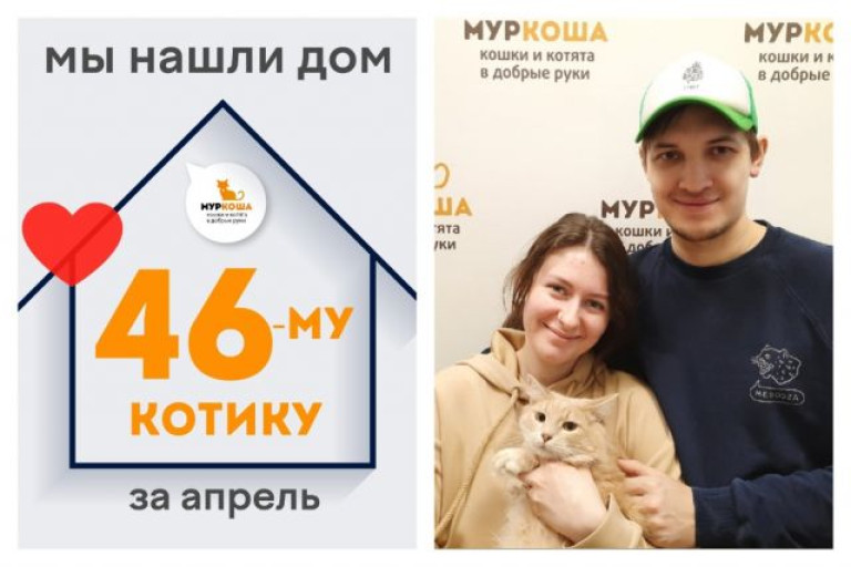 У котика Пушони теперь есть дом и семья!
