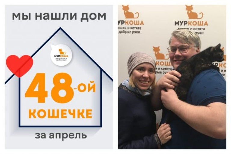 Ласковая Хорошка стала домашней любимицей!