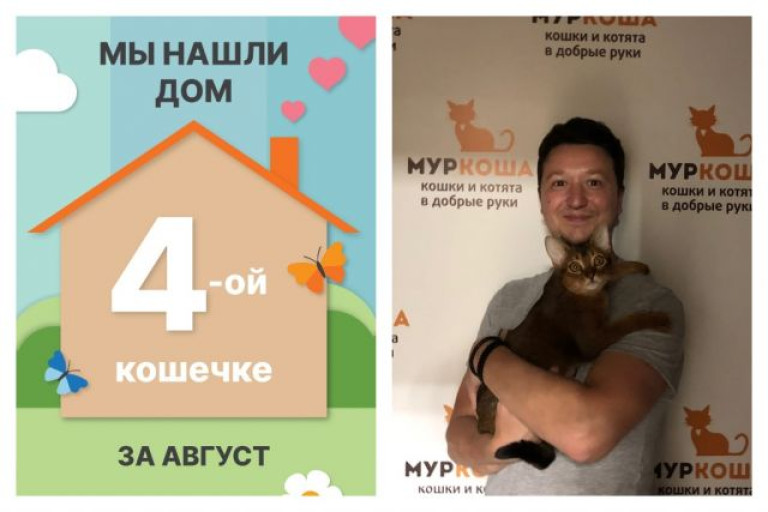 Кошечка Смузи стала частью прекрасной семьи!